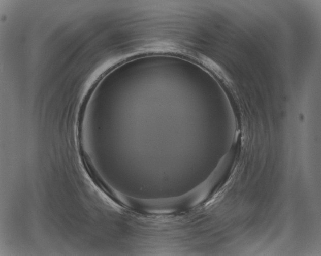 X0000066011334200603061248