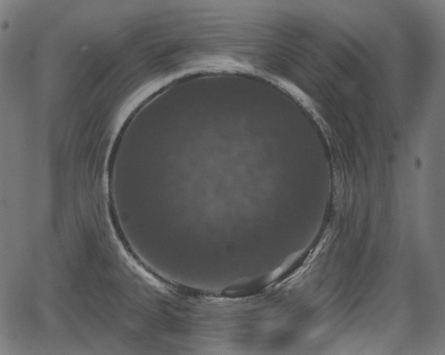 X0000066011335200603061248