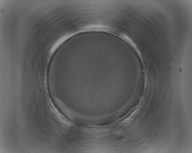 X0000066011336200603061248