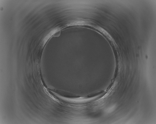 X0000066011337200603061248