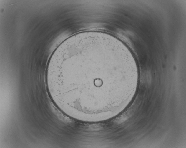 X0000066011338200603061248