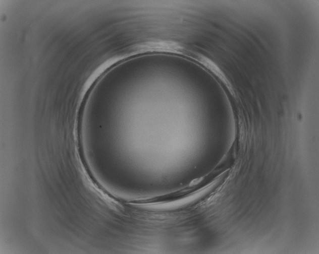 X0000066011339200603061248