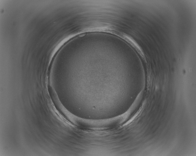 X0000066011340200603061248