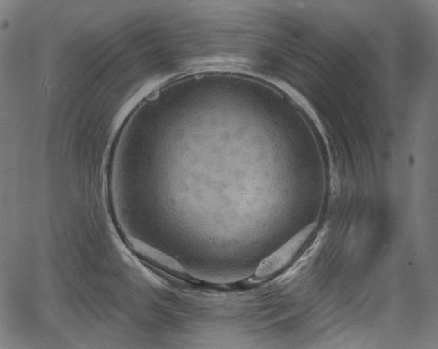 X0000066011341200603061248