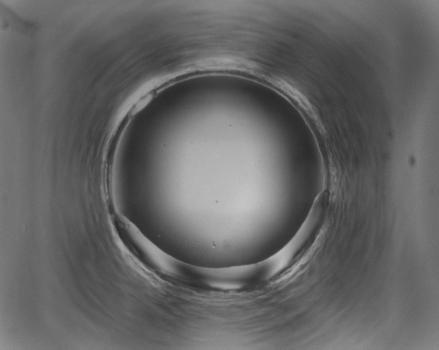 X0000066011342200603061248