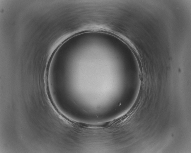 X0000066011343200603061248