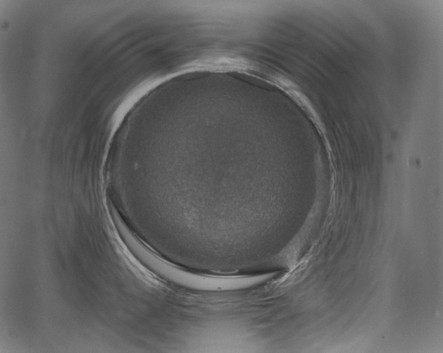 X0000066011344200603061248