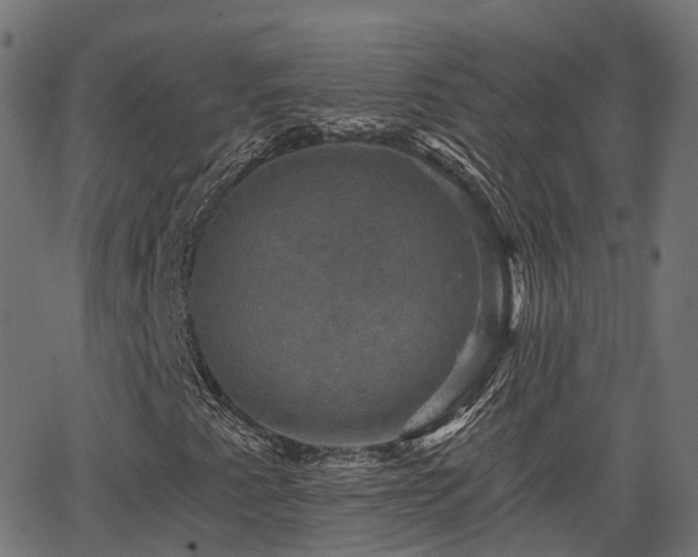 X0000066011345200603061247