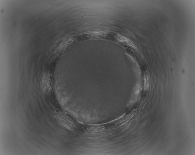 X0000066011346200603061247