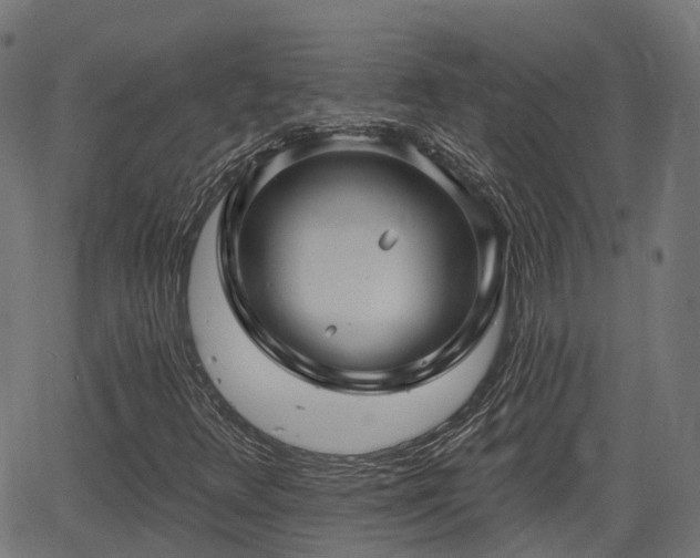 X0000066011348200603061247