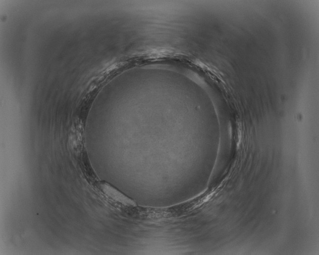 X0000066011349200603061247