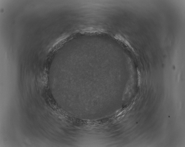 X0000066011350200603061247