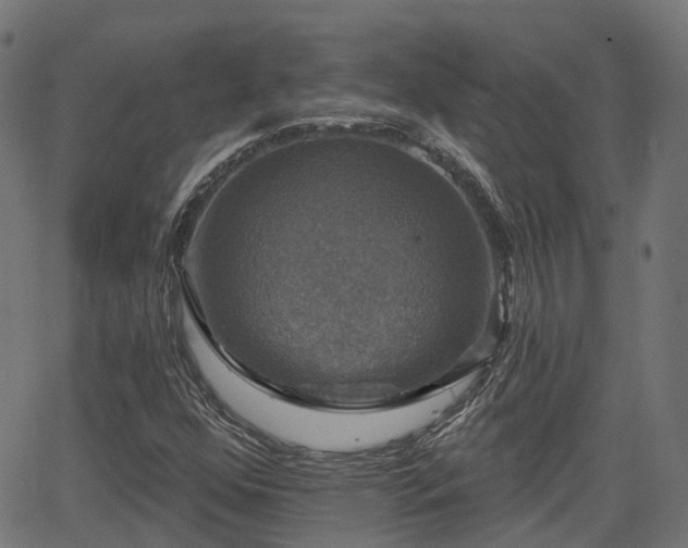 X0000066011352200603061247