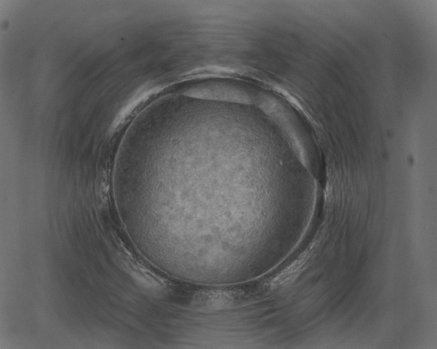 X0000066011355200603061247