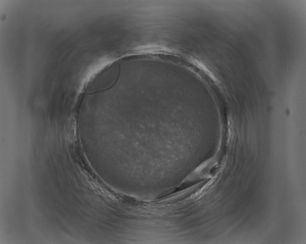 X0000066011358200603061247