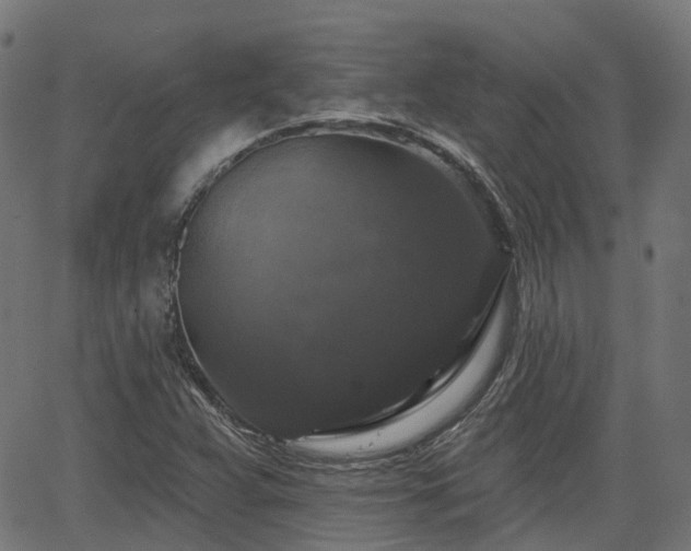 X0000066011359200603061247