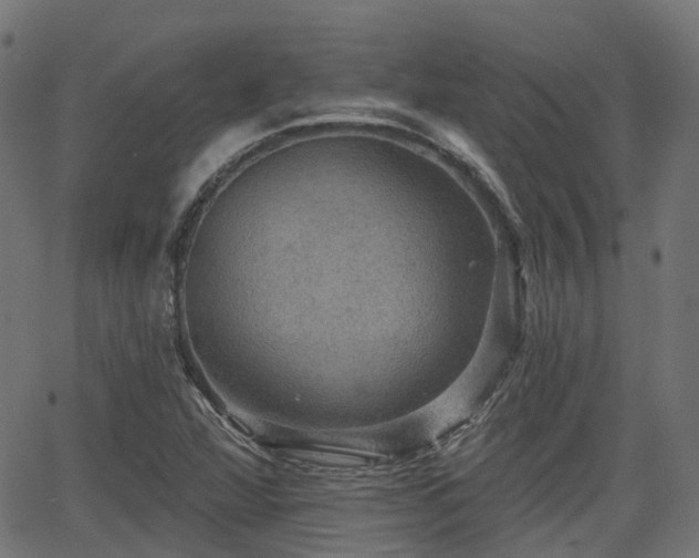 X0000066011360200603061247