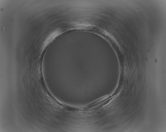 X0000066011362200603061247