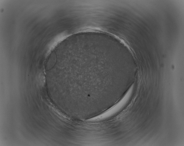 X0000066011363200603061247