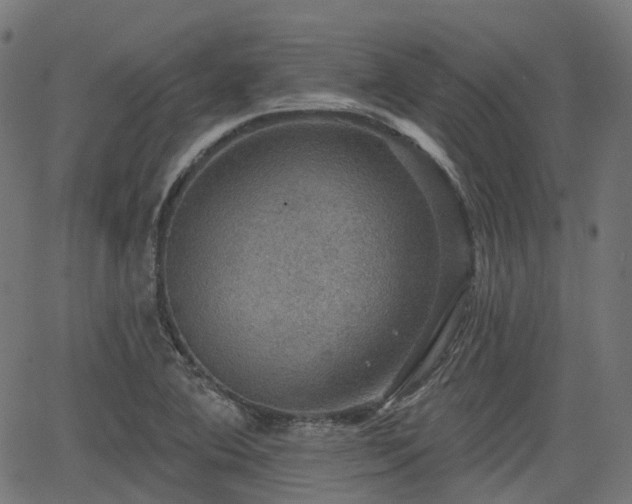 X0000066011364200603061247