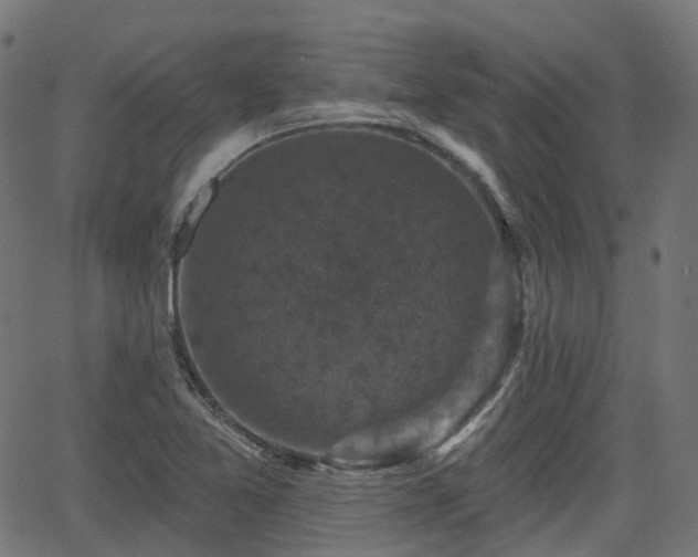 X0000066011365200603061247