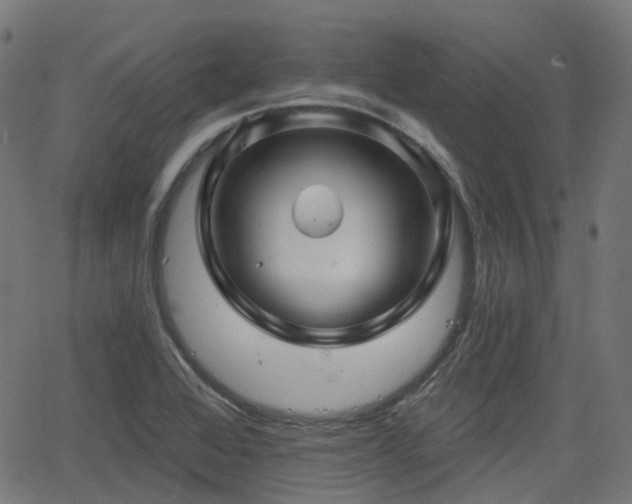 X0000066011368200603061247