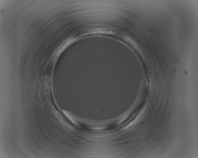 X0000066011369200603061247