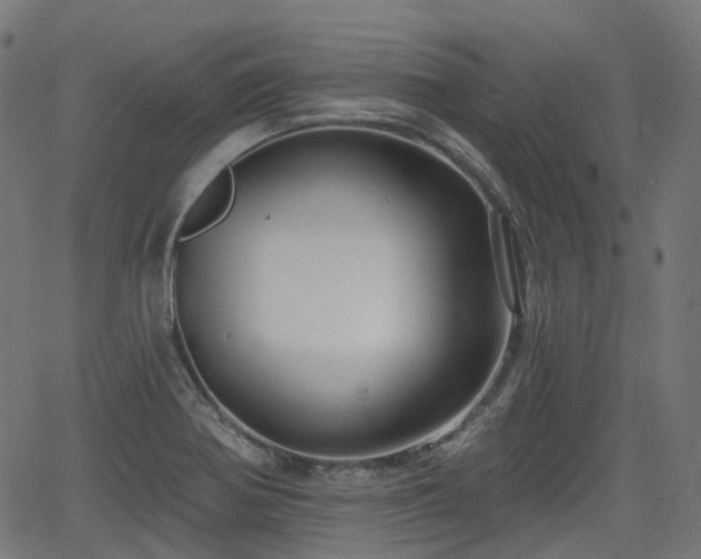 X0000066011370200603061247