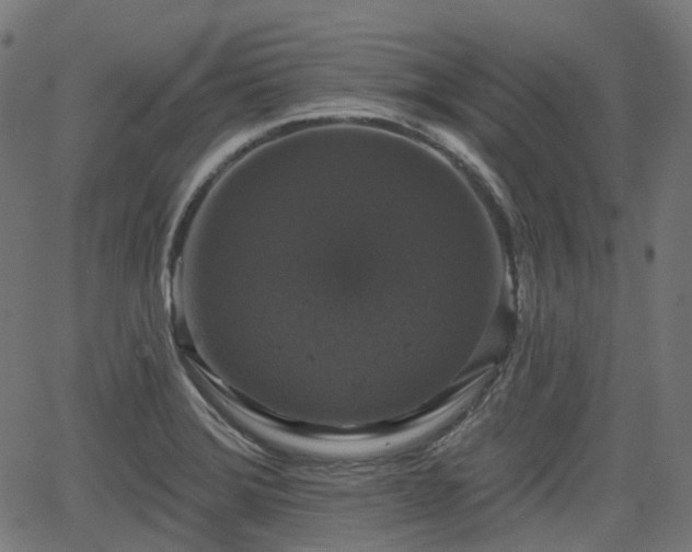 X0000066011372200603061247