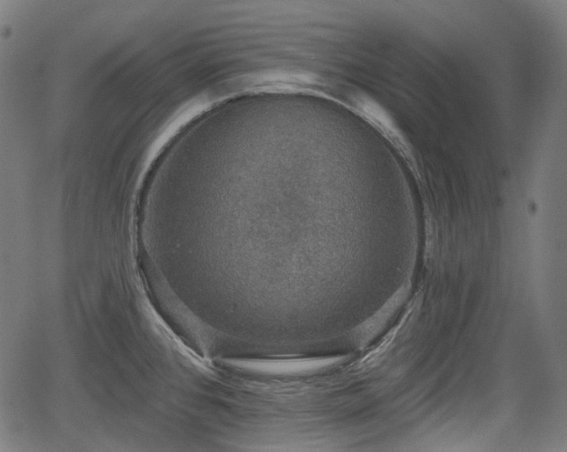 X0000066011384200603061246