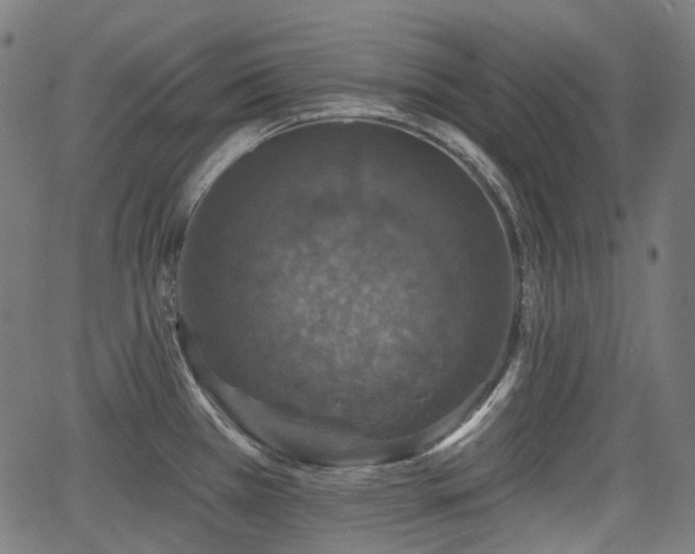 X0000066011385200603061246
