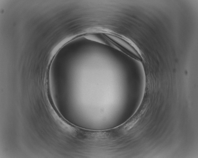 X0000066011387200603061246