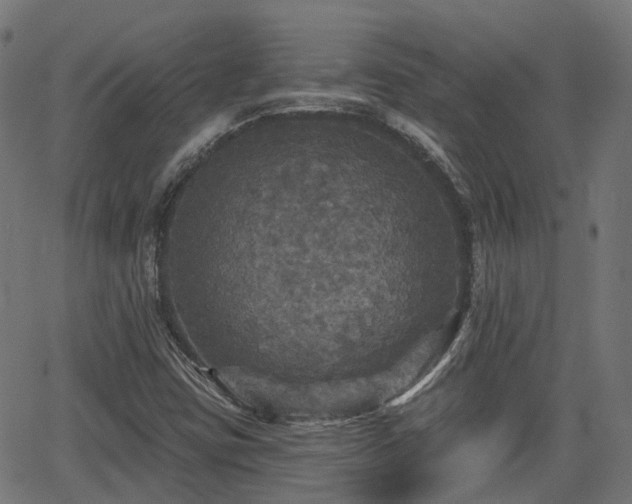X0000066011403200603061246
