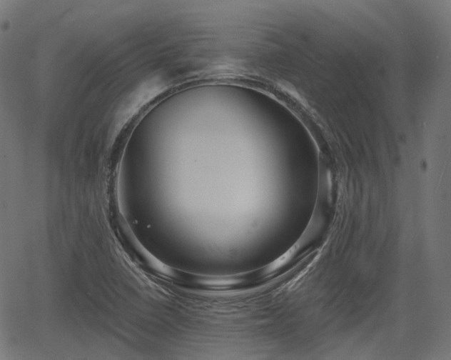 X0000066011410200603061246