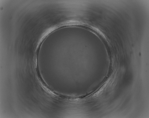 X0000066011413200603061246