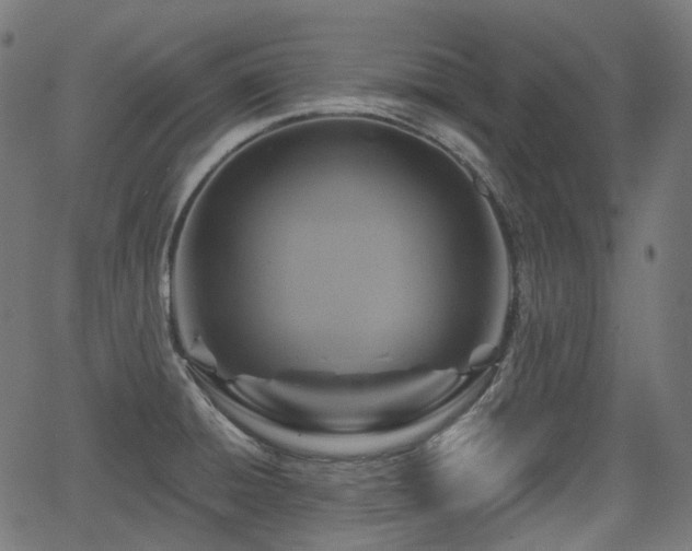 X0000066011428200603061246