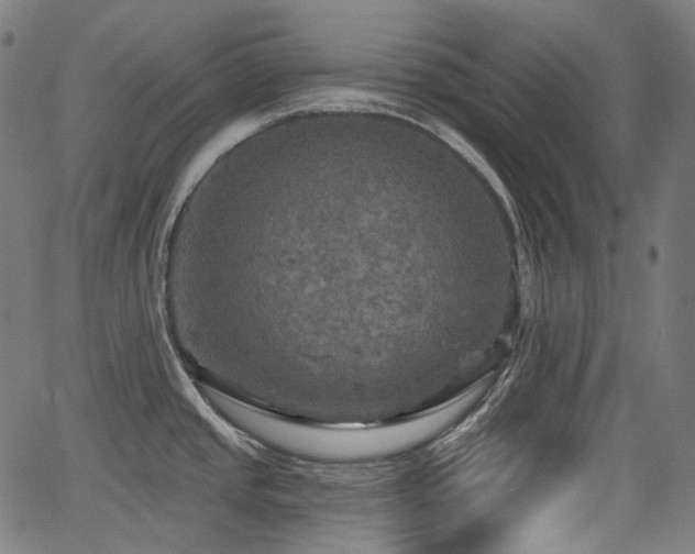 X0000066011437200603061246