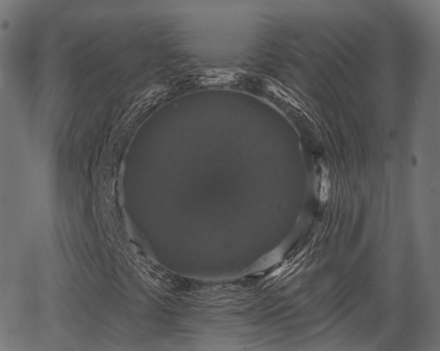 X0000066011441200603061245