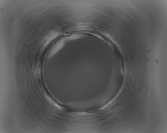 X0000066011450200603061245