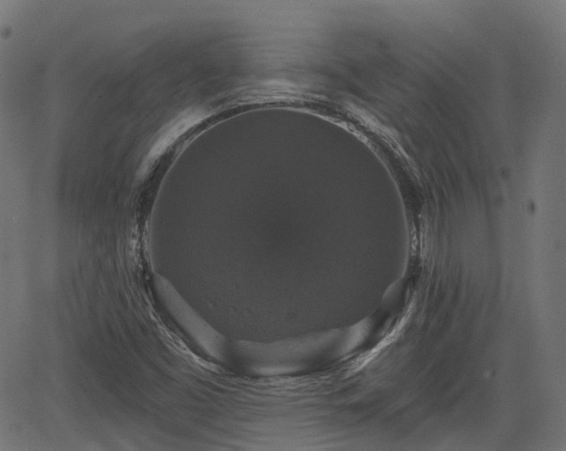 X0000066011453200603061245