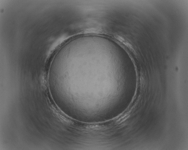 X0000066011454200603061245