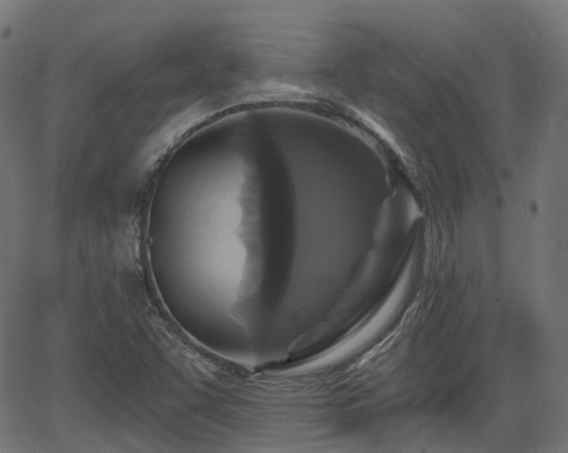 X0000066011455200603061245