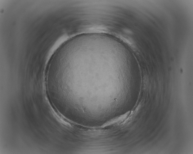 X0000066011470200603061245
