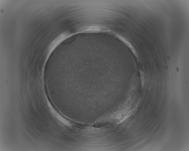 X0000066011475200603061245