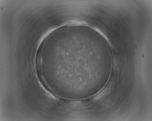 X0000066011477200603061245