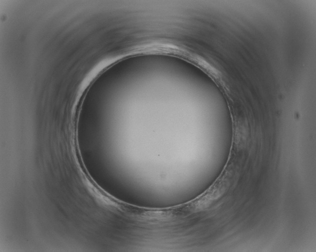 X0000066011478200603061245