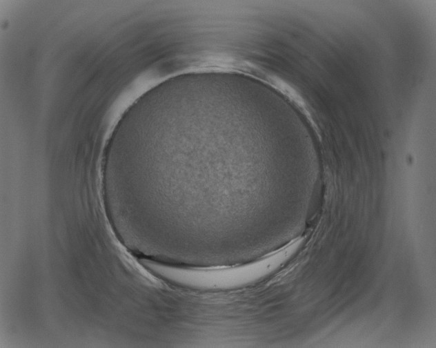 X0000066011480200603061245