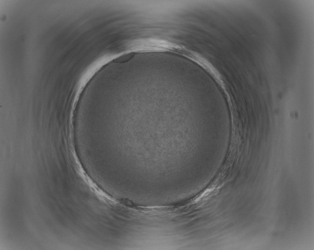 X0000066011488200603061245