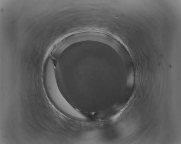 X0000066011508200603061244