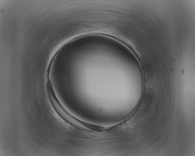 X0000066011516200603061244